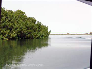 Gambia 05 Ausflug ins Saloum-Delta und zur Insel Ginack,_DSC00847b_B740